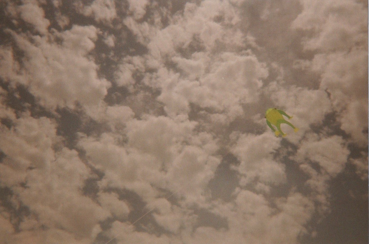 Kermit Kite